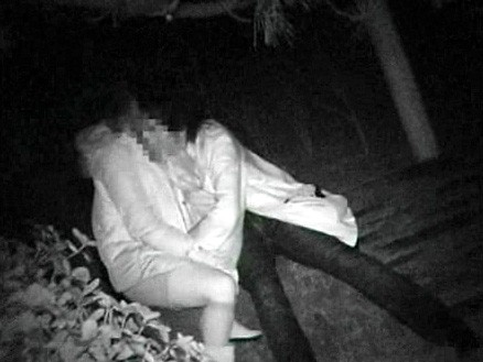 サンプル画像 14