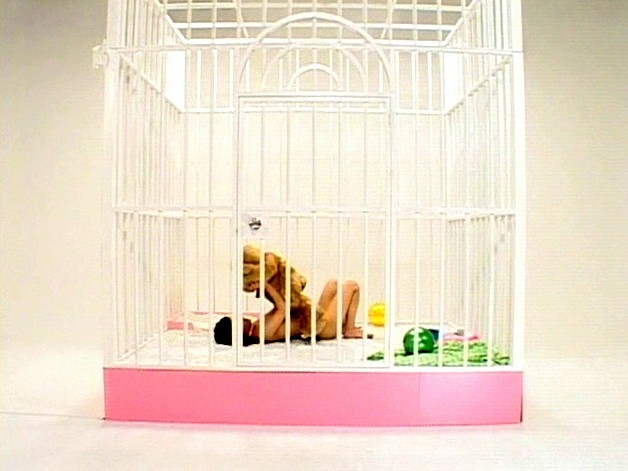 サンプル画像 7