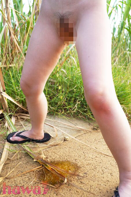 サンプル画像 14