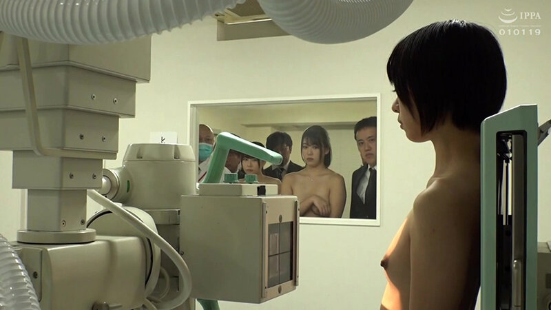 サンプル画像 19