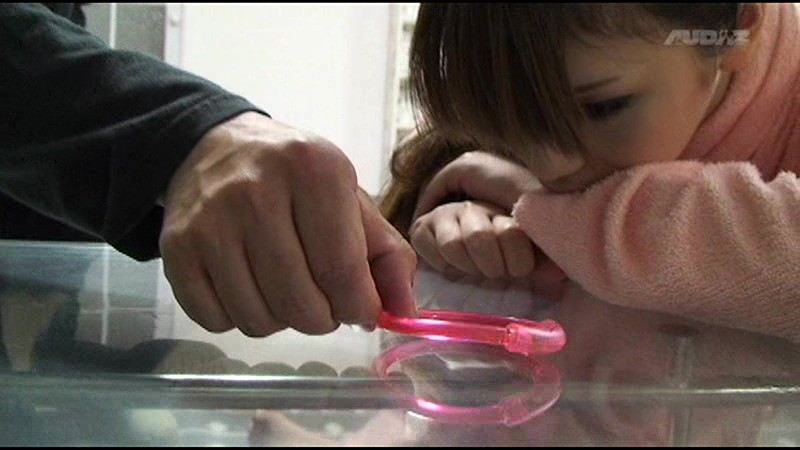 サンプル画像 13