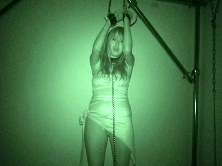 サンプル画像 3