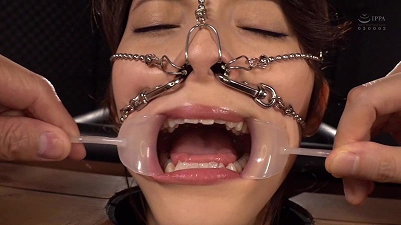 サンプル画像 8