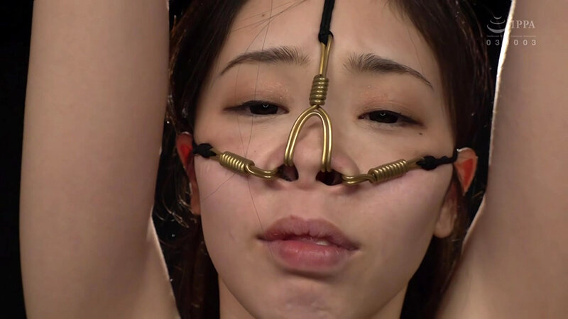 サンプル画像 8