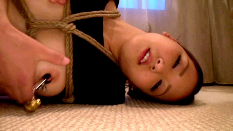 サンプル画像 8