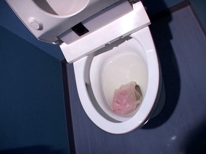 サンプル画像 13