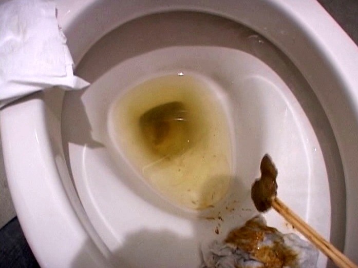 サンプル画像 6