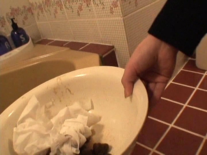 サンプル画像 6