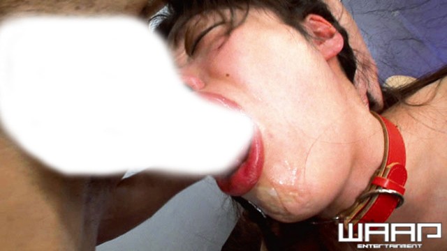 サンプル画像 9