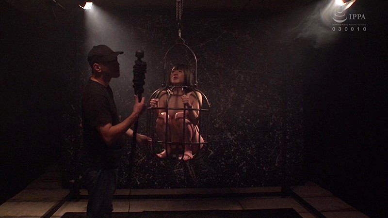 サンプル画像 10