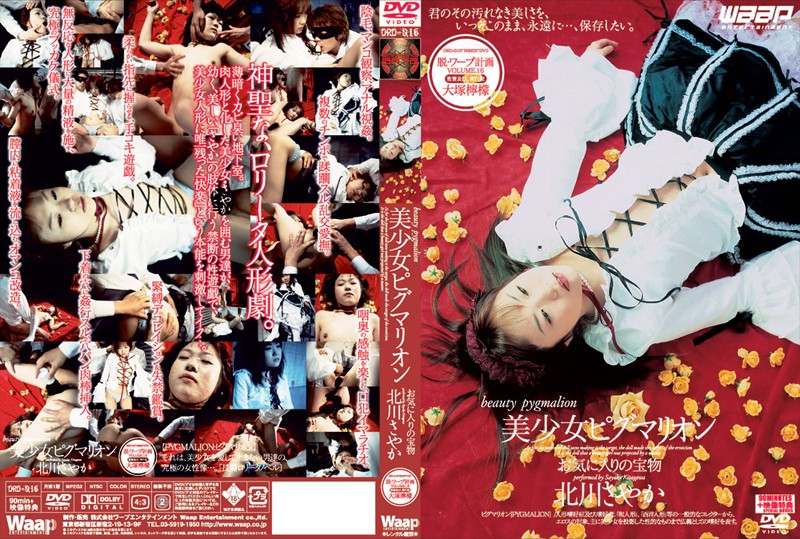 サンプルプレビュー