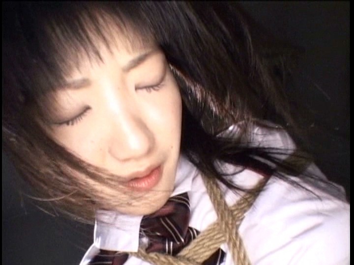 サンプル画像 16