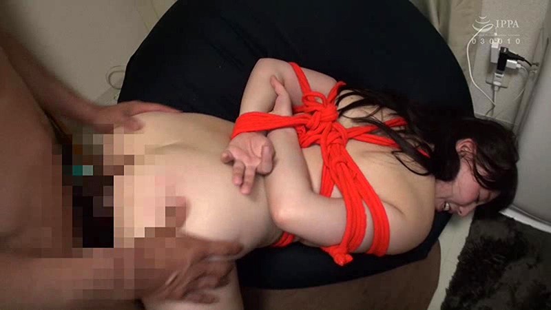 サンプル画像 13