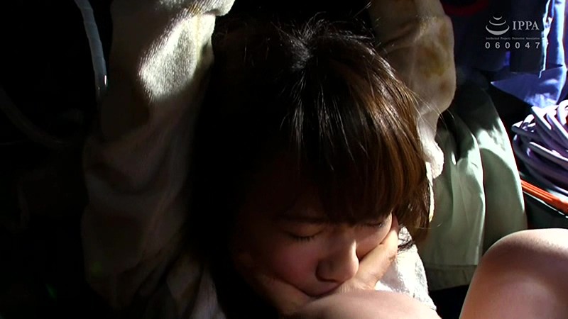 サンプル画像 5