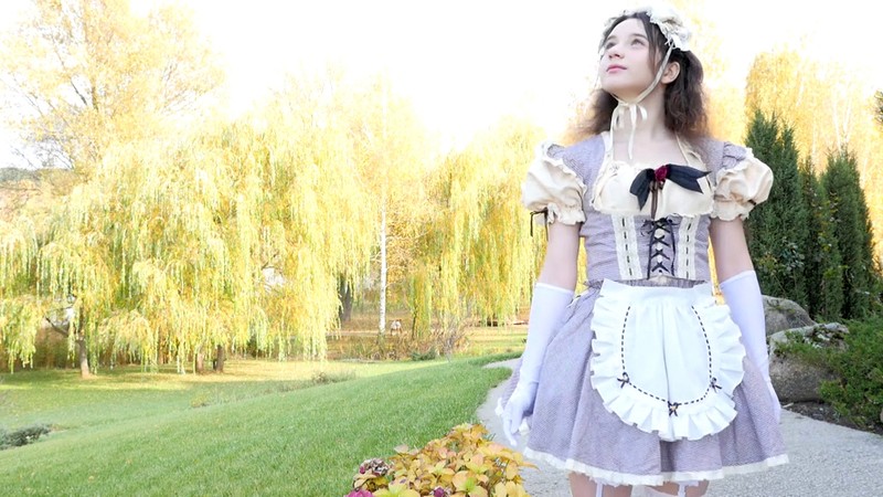 サンプル画像 5