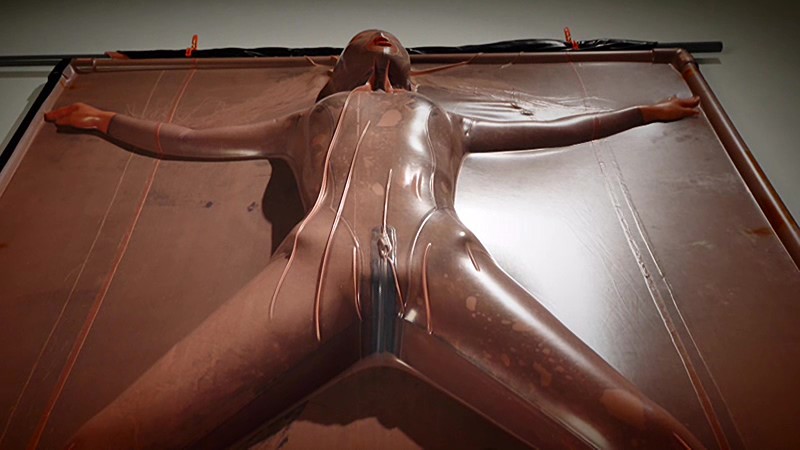 サンプル画像 14