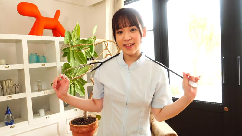 サンプル画像 17