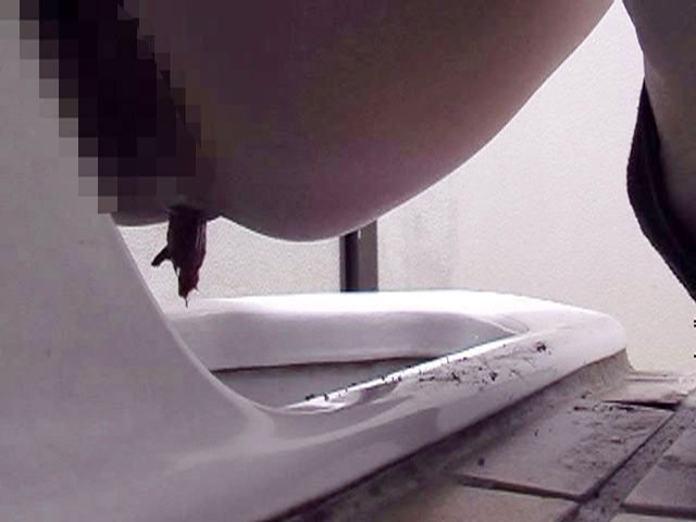 サンプル画像 16