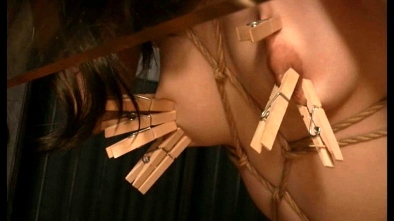 サンプル画像 6