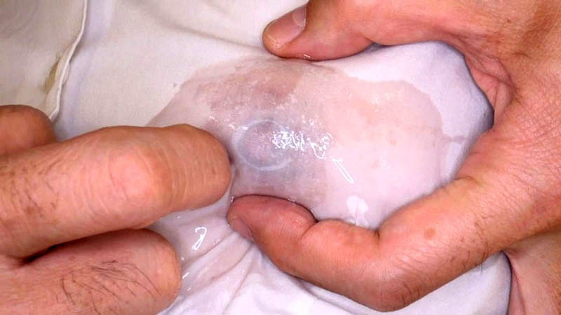 サンプル画像 12