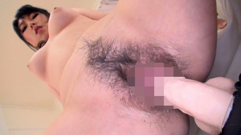 サンプル画像 13