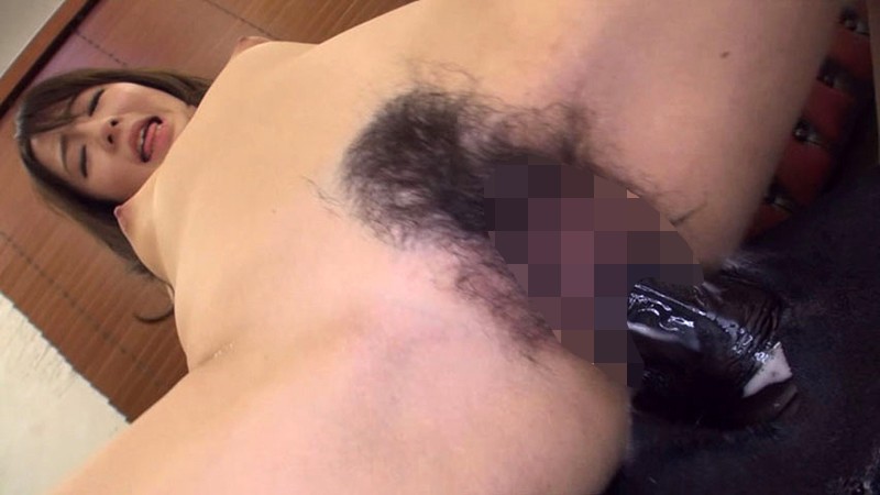 サンプル画像 5