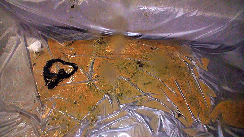 サンプル画像 14