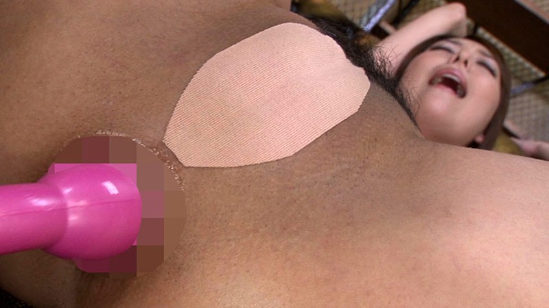 サンプル画像 12