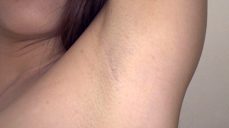 サンプル画像 11