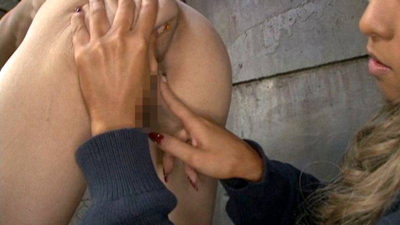 サンプル画像 11