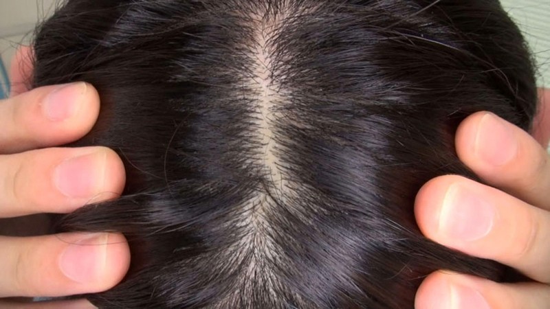 サンプル画像 5