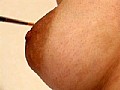 サンプル画像 13