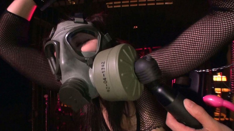 サンプル画像 11