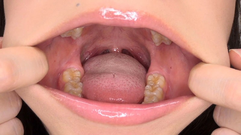 サンプル画像 15