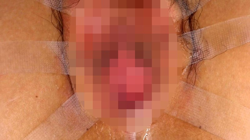 サンプル画像 21