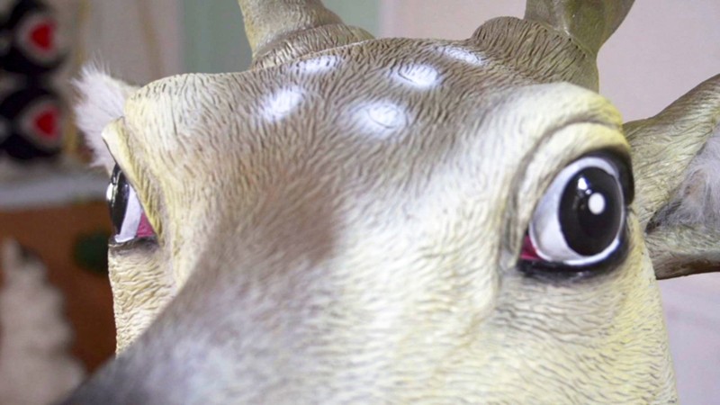 サンプル画像 11