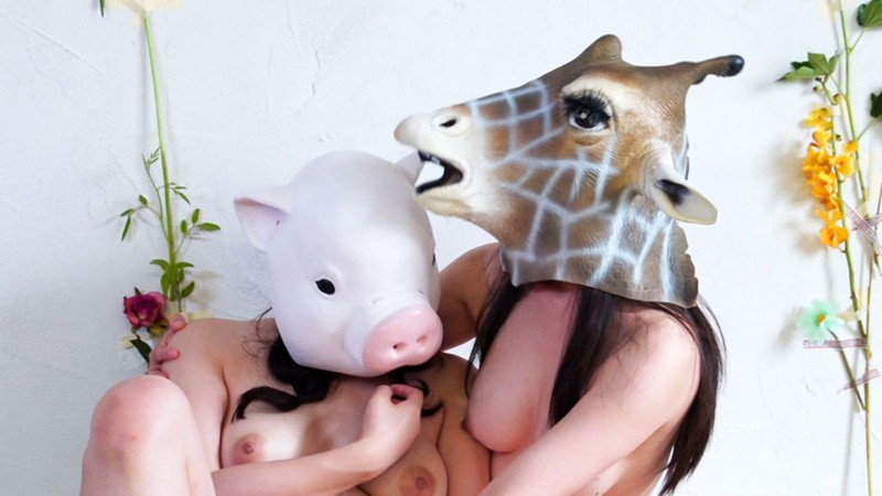 サンプル画像 4