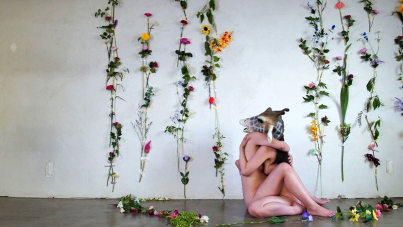 サンプル画像 5