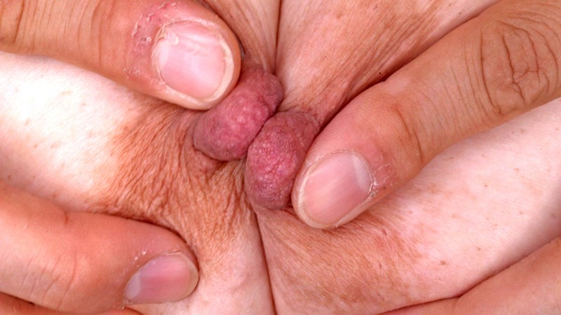 サンプル画像 21