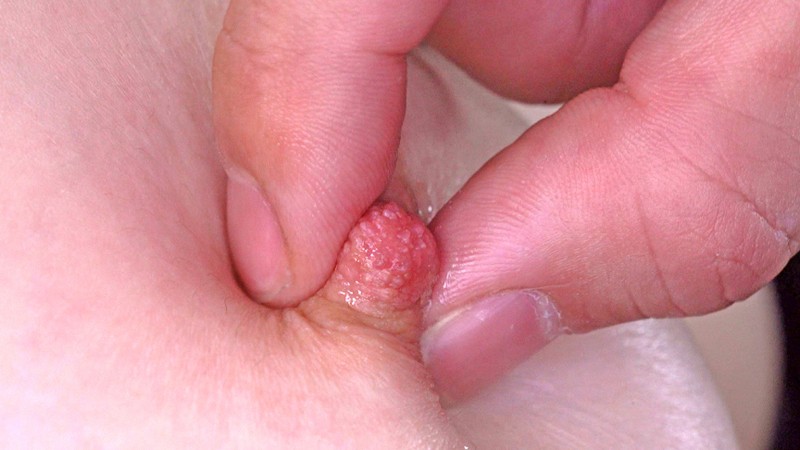 サンプル画像 6