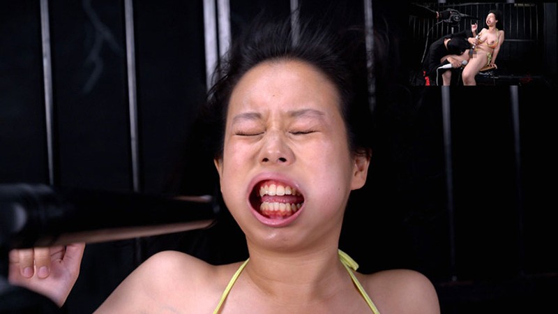 サンプル画像 4