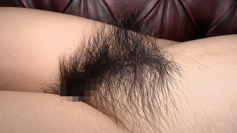 サンプル画像 8