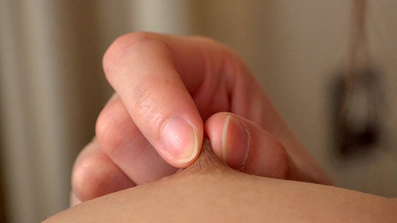 サンプル画像 11