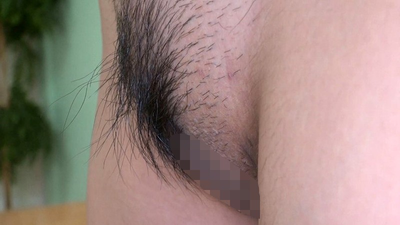 サンプル画像 13