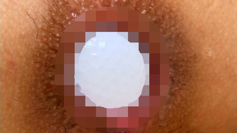 サンプル画像 12