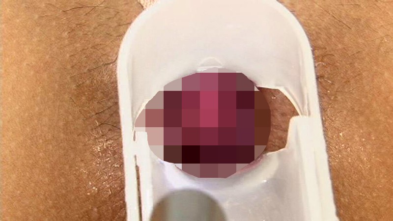 サンプル画像 5