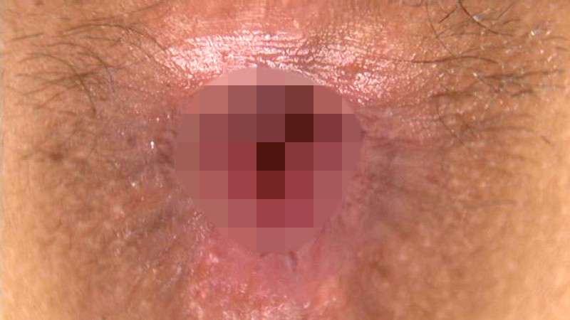 サンプル画像 13