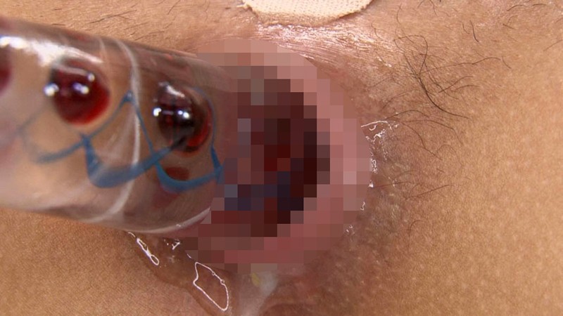 サンプル画像 4