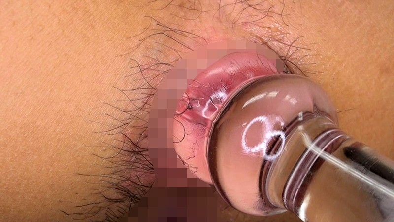 サンプル画像 16