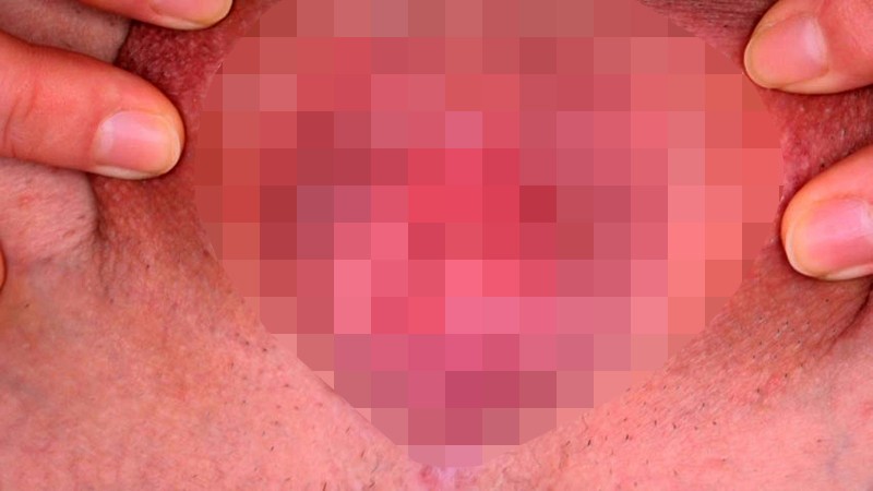 サンプル画像 4